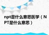 npt是什么意思医学（NPT是什么意思）