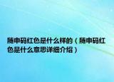 随申码红色是什么样的（随申码红色是什么意思详细介绍）
