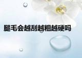 腿毛会越刮越粗越硬吗