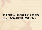 鸽子和什么一起炖汤下奶（鸽子和什么一起炖汤比较好详细介绍）