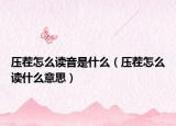 压茬怎么读音是什么（压茬怎么读什么意思）