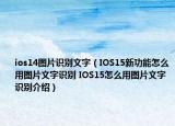 ios14图片识别文字（IOS15新功能怎么用图片文字识别 IOS15怎么用图片文字识别介绍）