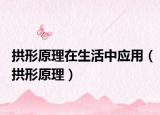 拱形原理在生活中应用（拱形原理）