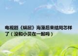 电视剧《蜗居》海藻后来结局怎样了（没和小贝在一起吗）