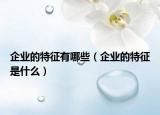 企业的特征有哪些（企业的特征是什么）