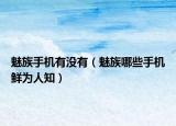 魅族手机有没有（魅族哪些手机鲜为人知）