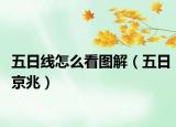 五日线怎么看图解（五日京兆）