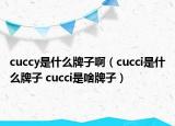 cuccy是什么牌子啊（cucci是什么牌子 cucci是啥牌子）