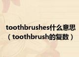 toothbrushes什么意思（toothbrush的复数）