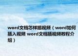 word文档怎样插视频（word如何插入视频 word文档插视频教程介绍）