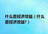 什么是经济效益（什么是经济效益?）