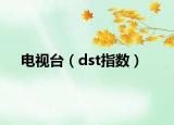 电视台（dst指数）