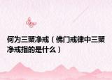 何为三聚净戒（佛门戒律中三聚净戒指的是什么）