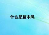 什么是脑中风