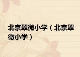 北京翠微小学（北京翠微小学）