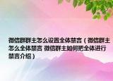 微信群群主怎么设置全体禁言（微信群主怎么全体禁言 微信群主如何把全体进行禁言介绍）