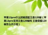 苹果13pro什么时候适配王者120帧（苹果13pro支持王者120帧吗 王者荣耀120帧怎么开介绍）