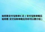 如何看支付宝账单汇总（支付宝账单概览如何看 支付宝账单概览怎样可以看介绍）