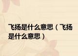 飞扬是什么意思（飞扬是什么意思）