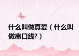 什么叫做真爱（什么叫做串口线?）