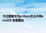 今日更新华为p30pro怎么升级emui10 来看看啦