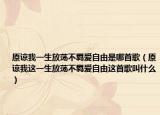原谅我一生放荡不羁爱自由是哪首歌（原谅我这一生放荡不羁爱自由这首歌叫什么）