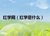 红学网（红学是什么）