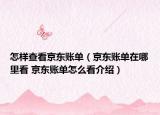 怎样查看京东账单（京东账单在哪里看 京东账单怎么看介绍）
