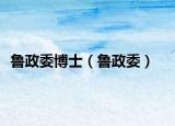 鲁政委博士（鲁政委）