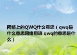 网络上的QWQ什么意思（qwq是什么意思网络用语 qwq的意思是什么）