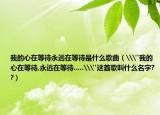 我的心在等待永远在等待是什么歌曲（\