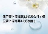 保卫萝卜深海第12关怎么打（保卫萝卜深海第12关攻略）