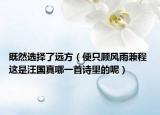 既然选择了远方（便只顾风雨兼程 这是汪国真哪一首诗里的呢）