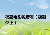夜宴电影免费看（夜凝夕上）