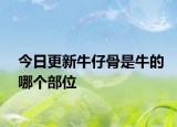 今日更新牛仔骨是牛的哪个部位
