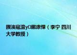 鍥涘窛澶у鏉庡悍（李宁 四川大学教授）