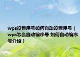 wps设置序号如何自动设置序号（wps怎么自动编序号 如何自动编序号介绍）