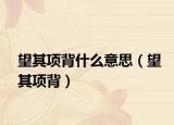 望其项背什么意思（望其项背）