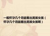 一般怀孕几个月能看出男孩女孩（怀孕几个月能看出男孩女孩呢）