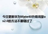 今日更新华为Mate40升级鸿蒙os2.0的方法不要错过了
