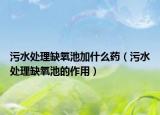 污水处理缺氧池加什么药（污水处理缺氧池的作用）