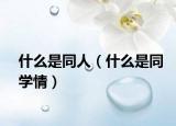 什么是同人（什么是同学情）