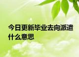 今日更新毕业去向派遣什么意思