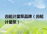 齿轮计量泵品牌（齿轮计量泵）