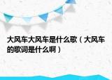 大风车大风车是什么歌（大风车的歌词是什么啊）