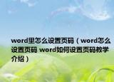 word里怎么设置页码（word怎么设置页码 word如何设置页码教学介绍）