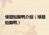 绿翅短脚鹎介绍（绿翅短脚鹎）