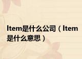 ltem是什么公司（ltem是什么意思）