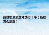 桑葚怎么清洗才洗得干净（桑葚怎么清洗）