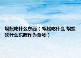 蜈蚣吃什么东西（蜈蚣吃什么 蜈蚣吃什么东西作为食物）